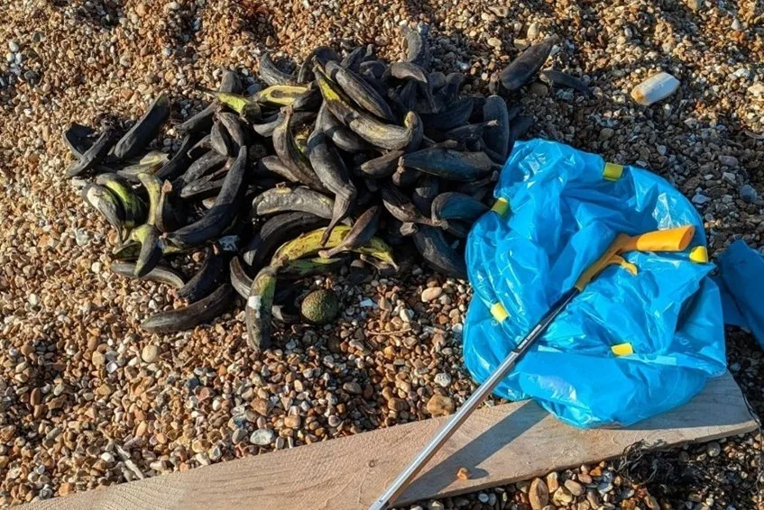 The Pagham Beach Picknic