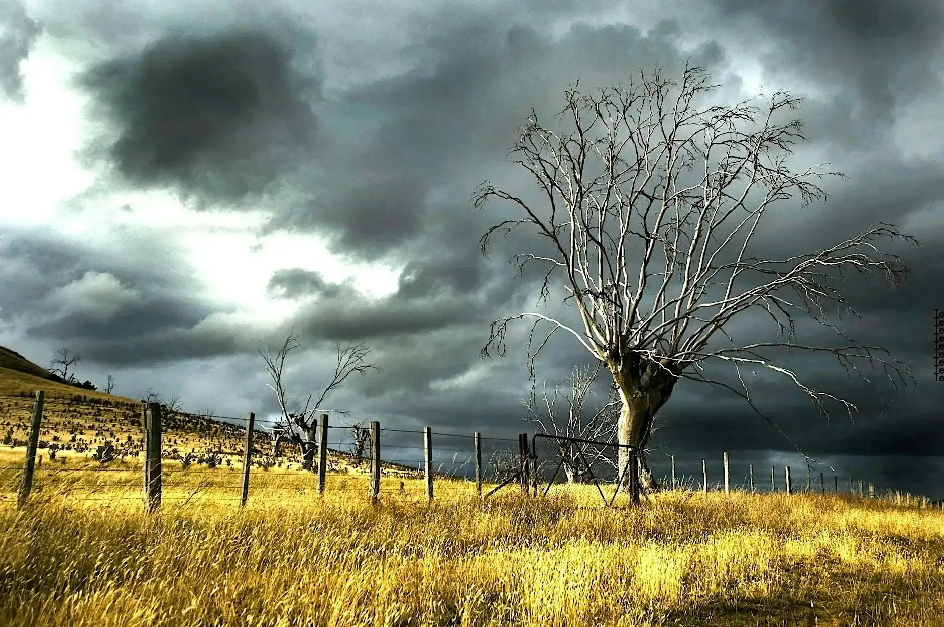 Facing the Storm