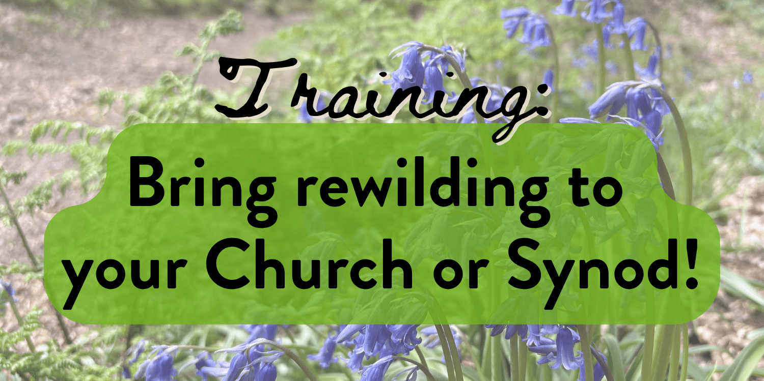 Rewilding the Church – Green Christian Workshop