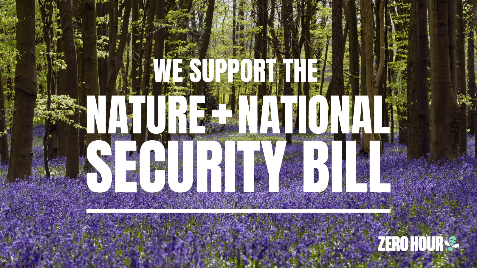 Zero Hour’s Nature & National Security Bill