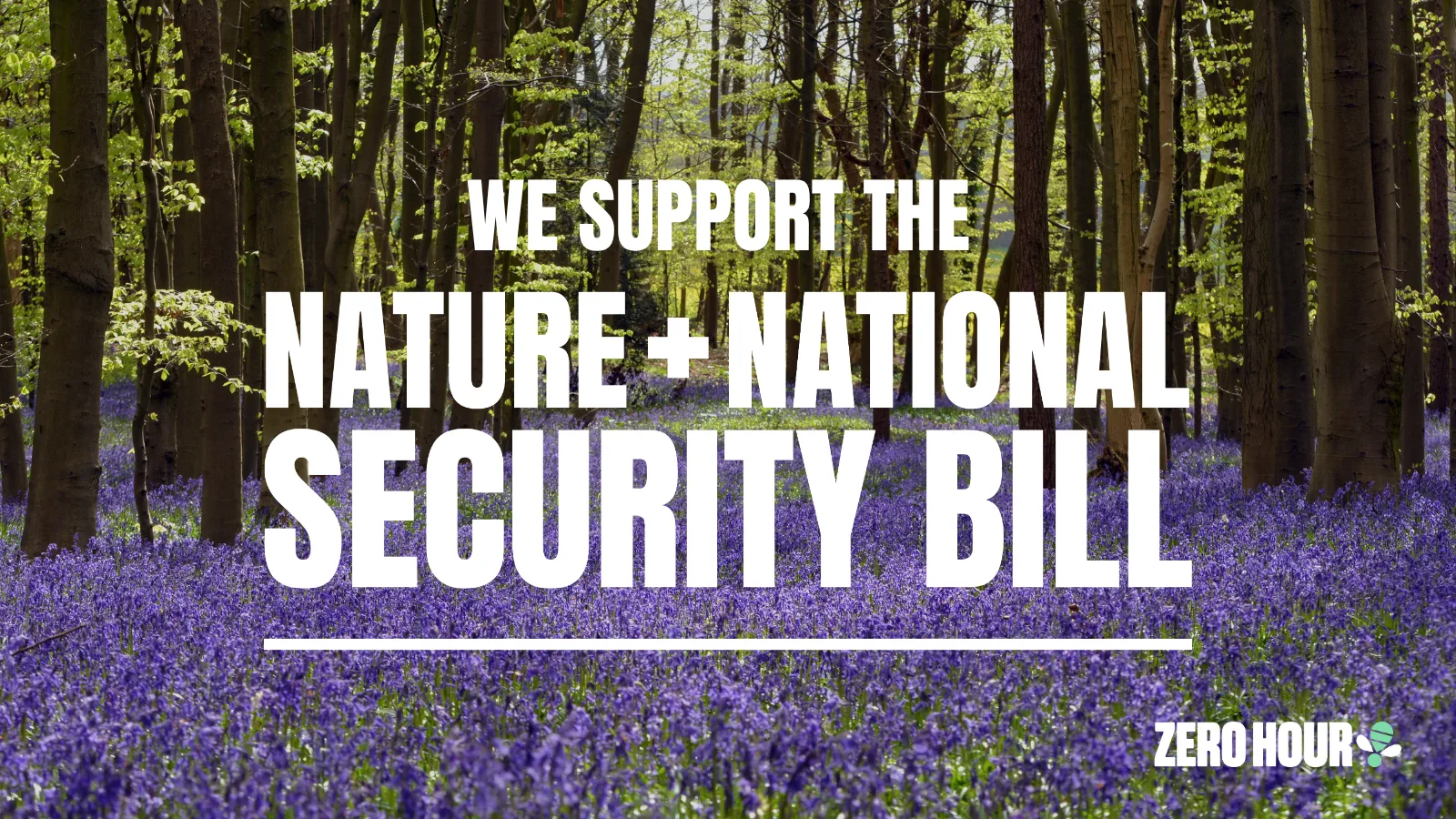 Zero Hour’s Nature & National Security Bill