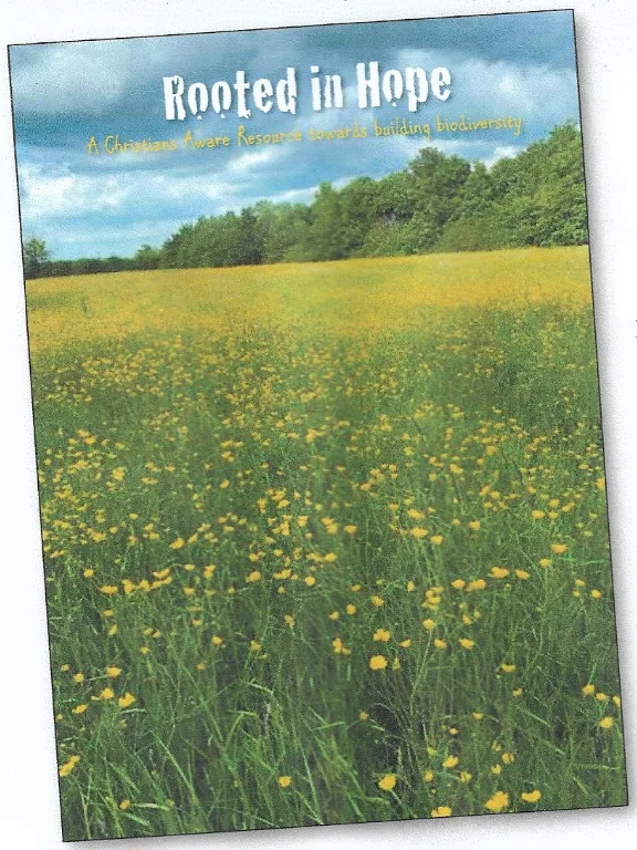 Rooted in Hope – Book Review