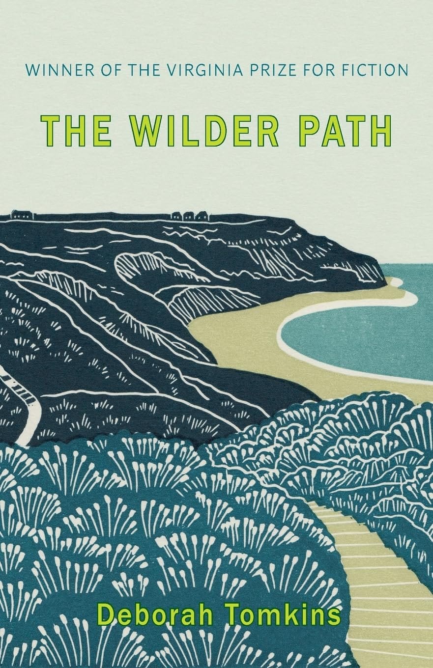 The Wilder Path book cover
