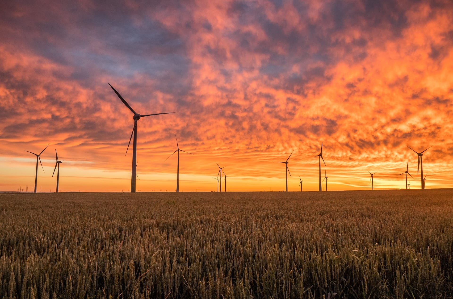 Important Reports on Climate and Nature Risks and Opportunities