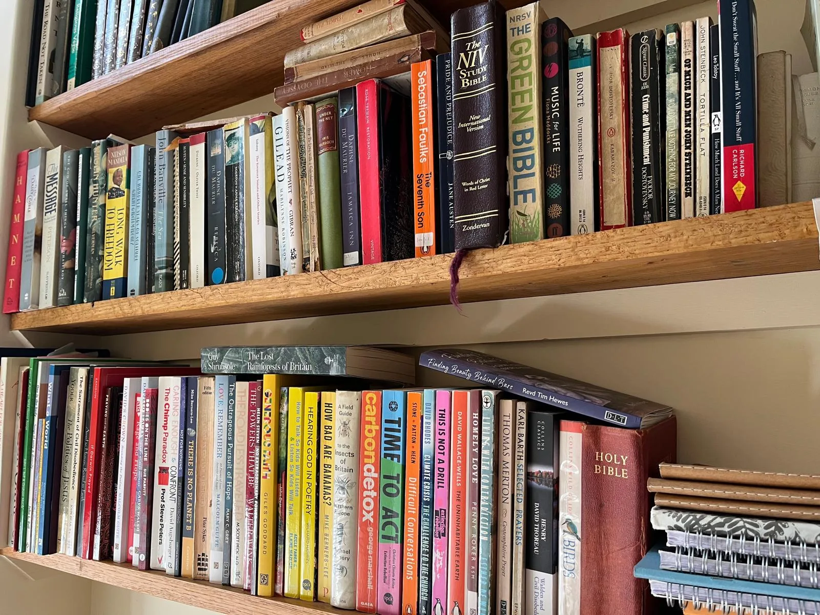 Book Reviews Editor needed!