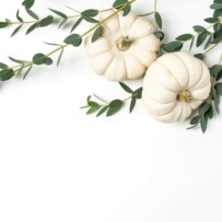 Harvest Orders of Service