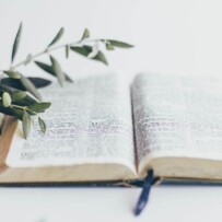 Harvest Service Resources